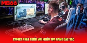 Esport phát triển với nhiều tựa game đặc sắc