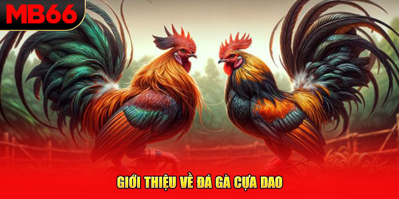 Giới thiệu về đá gà cựa dao