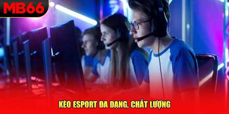 Kèo esport đa dạng, chất lượng