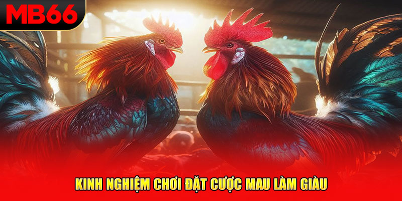 Kinh nghiệm chơi đặt cược mau làm giàu