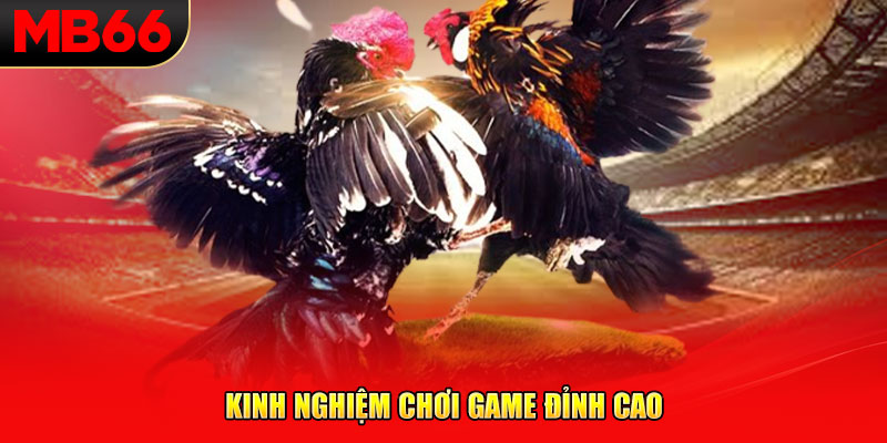 Kinh nghiệm chơi game đỉnh cao