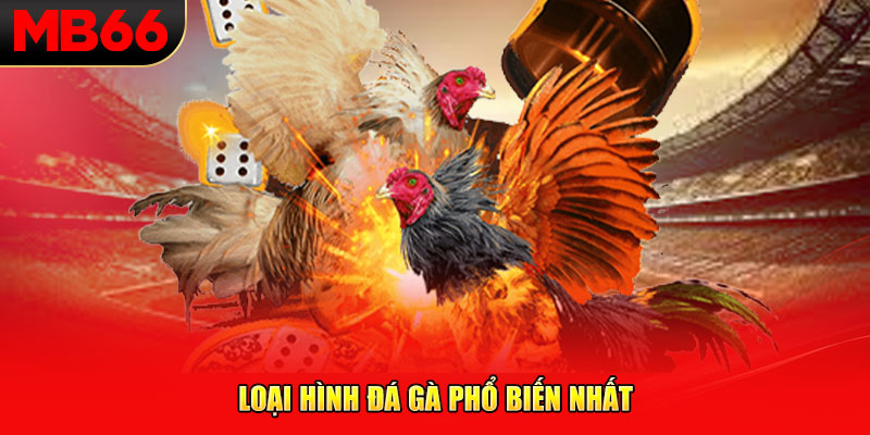 Loại hình đá gà phổ biến nhất