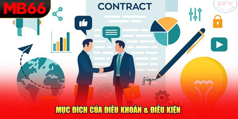 Mục đích của điều khoản & điều kiện 