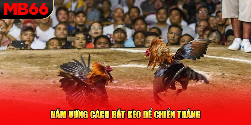 Nắm vững cách bắt kèo để chiến thắng