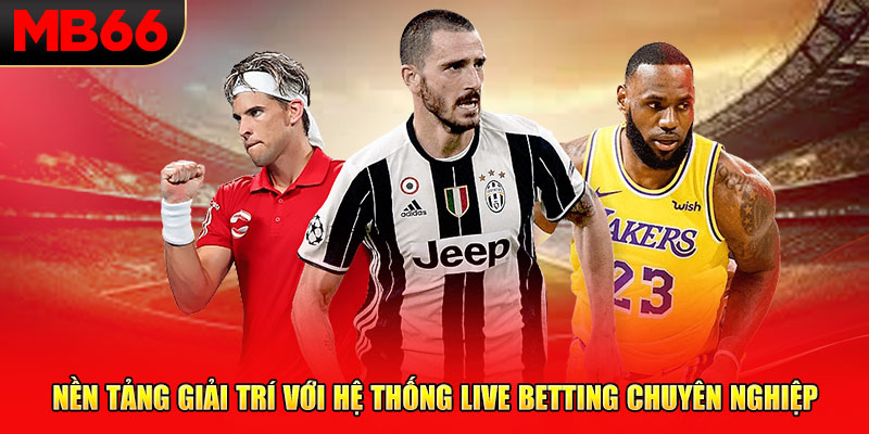 Nền tảng giải trí với hệ thống Live Betting chuyên nghiệp