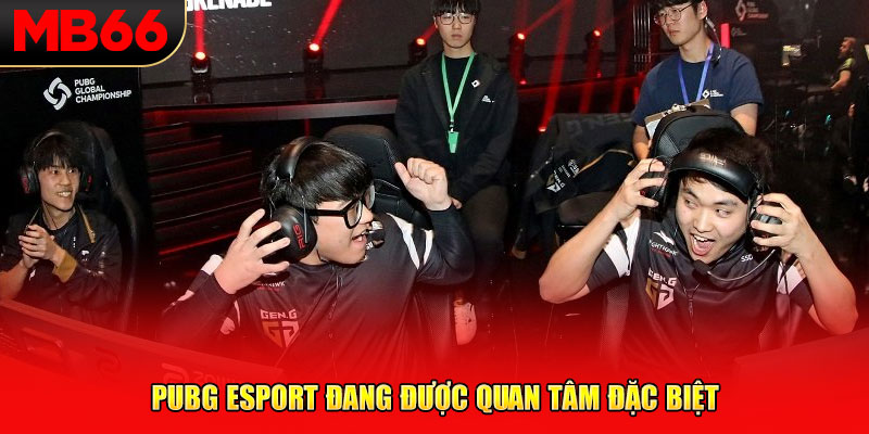 Pubg esport đang được quan tâm đặc biệt