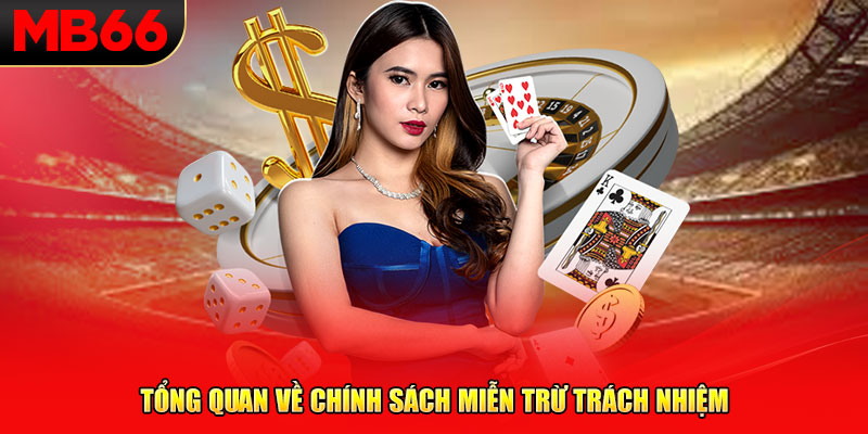 Tổng quan về chính sách miễn trừ trách nhiệm