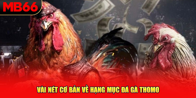 Vài nét cơ bản về hạng mục đá gà Thomo