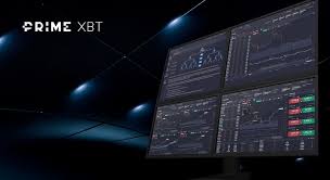 Comprehensive Insights PrimeXBT Reviews Comprehensive Insights PrimeXBT Reviews