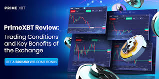 Comprehensive Insights PrimeXBT Reviews Comprehensive Insights PrimeXBT Reviews