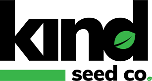 Your Guide to Cannabis Seeds NY Growing, Buying, and Choosing Your Guide to Cannabis Seeds NY Growing, Buying, and Choosing